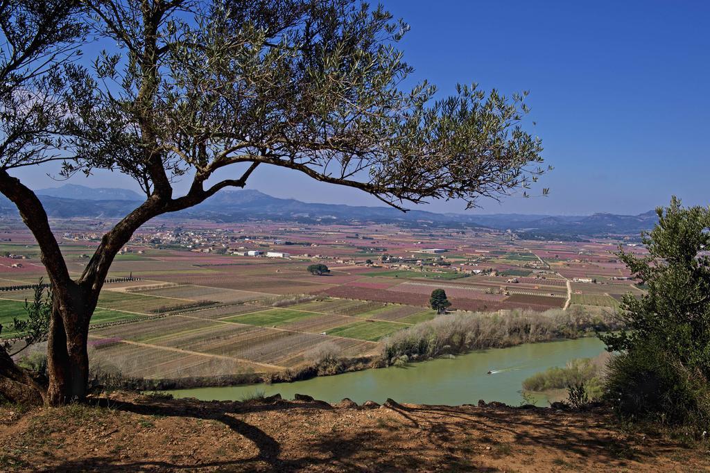 Ca La Maria Διαμέρισμα Mora d'Ebre Εξωτερικό φωτογραφία
