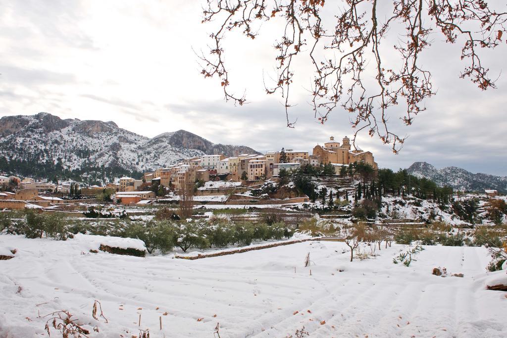 Ca La Maria Διαμέρισμα Mora d'Ebre Εξωτερικό φωτογραφία
